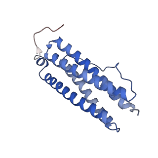 9913_6k43_E_v1-2
Cryo-EM structure of Holo-bacterioferritin-form-I from Streptomyces coelicolor