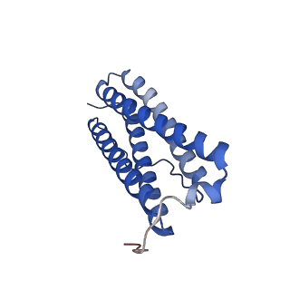 9913_6k43_F_v1-2
Cryo-EM structure of Holo-bacterioferritin-form-I from Streptomyces coelicolor