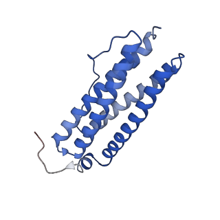 9913_6k43_H_v1-1
Cryo-EM structure of Holo-bacterioferritin-form-I from Streptomyces coelicolor