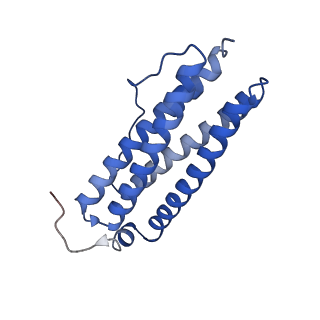 9913_6k43_H_v1-2
Cryo-EM structure of Holo-bacterioferritin-form-I from Streptomyces coelicolor