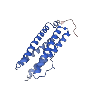 9913_6k43_I_v1-1
Cryo-EM structure of Holo-bacterioferritin-form-I from Streptomyces coelicolor