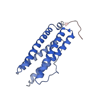 9913_6k43_I_v1-2
Cryo-EM structure of Holo-bacterioferritin-form-I from Streptomyces coelicolor