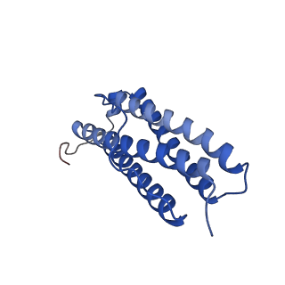 9913_6k43_J_v1-2
Cryo-EM structure of Holo-bacterioferritin-form-I from Streptomyces coelicolor