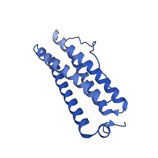 9913_6k43_K_v1-1
Cryo-EM structure of Holo-bacterioferritin-form-I from Streptomyces coelicolor