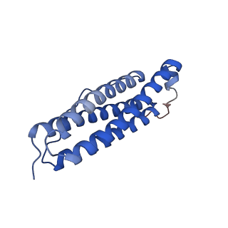 9913_6k43_L_v1-2
Cryo-EM structure of Holo-bacterioferritin-form-I from Streptomyces coelicolor