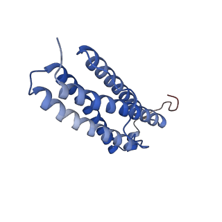 9913_6k43_O_v1-1
Cryo-EM structure of Holo-bacterioferritin-form-I from Streptomyces coelicolor