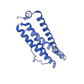 9913_6k43_P_v1-1
Cryo-EM structure of Holo-bacterioferritin-form-I from Streptomyces coelicolor