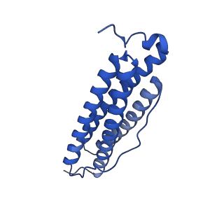 9913_6k43_R_v1-1
Cryo-EM structure of Holo-bacterioferritin-form-I from Streptomyces coelicolor