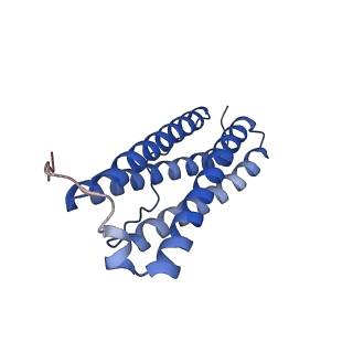 9913_6k43_S_v1-1
Cryo-EM structure of Holo-bacterioferritin-form-I from Streptomyces coelicolor