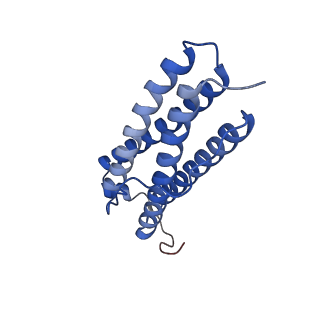 9913_6k43_T_v1-2
Cryo-EM structure of Holo-bacterioferritin-form-I from Streptomyces coelicolor