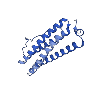 9913_6k43_U_v1-1
Cryo-EM structure of Holo-bacterioferritin-form-I from Streptomyces coelicolor
