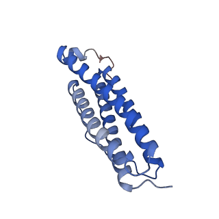 9913_6k43_V_v1-1
Cryo-EM structure of Holo-bacterioferritin-form-I from Streptomyces coelicolor