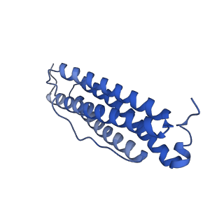 9913_6k43_W_v1-1
Cryo-EM structure of Holo-bacterioferritin-form-I from Streptomyces coelicolor