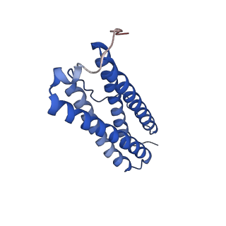 9913_6k43_X_v1-1
Cryo-EM structure of Holo-bacterioferritin-form-I from Streptomyces coelicolor