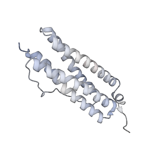 9915_6k4m_A_v1-1
Cryo-EM structure of Holo-bacterioferritin form-II from Streptomyces coelicolor