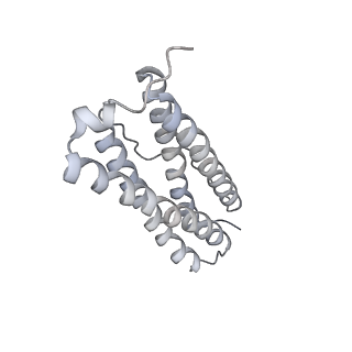 9915_6k4m_B_v1-0
Cryo-EM structure of Holo-bacterioferritin form-II from Streptomyces coelicolor
