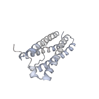 9915_6k4m_D_v1-0
Cryo-EM structure of Holo-bacterioferritin form-II from Streptomyces coelicolor