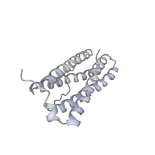 9915_6k4m_D_v1-1
Cryo-EM structure of Holo-bacterioferritin form-II from Streptomyces coelicolor