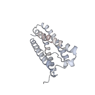 9915_6k4m_E_v1-0
Cryo-EM structure of Holo-bacterioferritin form-II from Streptomyces coelicolor