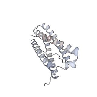 9915_6k4m_E_v1-1
Cryo-EM structure of Holo-bacterioferritin form-II from Streptomyces coelicolor