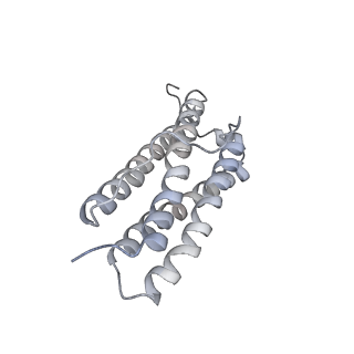 9915_6k4m_G_v1-0
Cryo-EM structure of Holo-bacterioferritin form-II from Streptomyces coelicolor