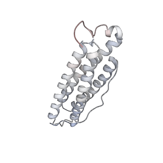 9915_6k4m_H_v1-0
Cryo-EM structure of Holo-bacterioferritin form-II from Streptomyces coelicolor