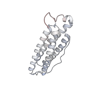 9915_6k4m_H_v1-1
Cryo-EM structure of Holo-bacterioferritin form-II from Streptomyces coelicolor