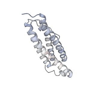 9915_6k4m_I_v1-1
Cryo-EM structure of Holo-bacterioferritin form-II from Streptomyces coelicolor