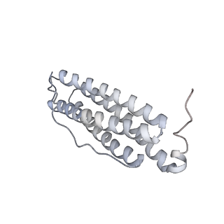 9915_6k4m_J_v1-1
Cryo-EM structure of Holo-bacterioferritin form-II from Streptomyces coelicolor