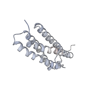 9915_6k4m_L_v1-0
Cryo-EM structure of Holo-bacterioferritin form-II from Streptomyces coelicolor