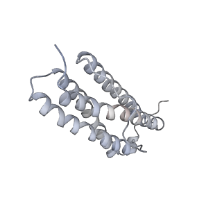 9915_6k4m_L_v1-1
Cryo-EM structure of Holo-bacterioferritin form-II from Streptomyces coelicolor