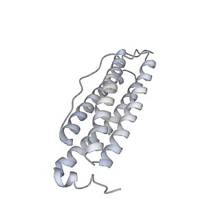9915_6k4m_P_v1-0
Cryo-EM structure of Holo-bacterioferritin form-II from Streptomyces coelicolor