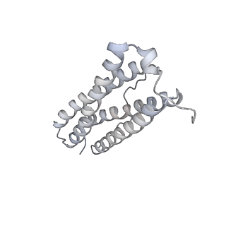 9915_6k4m_Q_v1-1
Cryo-EM structure of Holo-bacterioferritin form-II from Streptomyces coelicolor