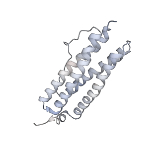 9915_6k4m_R_v1-0
Cryo-EM structure of Holo-bacterioferritin form-II from Streptomyces coelicolor