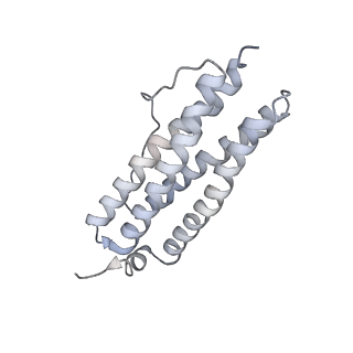 9915_6k4m_R_v1-1
Cryo-EM structure of Holo-bacterioferritin form-II from Streptomyces coelicolor