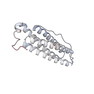 9915_6k4m_S_v1-0
Cryo-EM structure of Holo-bacterioferritin form-II from Streptomyces coelicolor