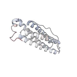 9915_6k4m_S_v1-1
Cryo-EM structure of Holo-bacterioferritin form-II from Streptomyces coelicolor