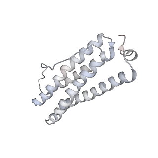 9915_6k4m_T_v1-0
Cryo-EM structure of Holo-bacterioferritin form-II from Streptomyces coelicolor