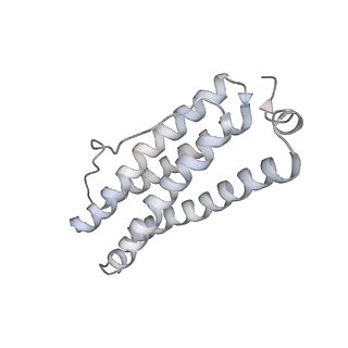 9915_6k4m_T_v1-1
Cryo-EM structure of Holo-bacterioferritin form-II from Streptomyces coelicolor