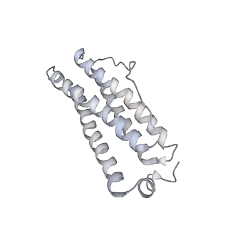 9915_6k4m_V_v1-1
Cryo-EM structure of Holo-bacterioferritin form-II from Streptomyces coelicolor