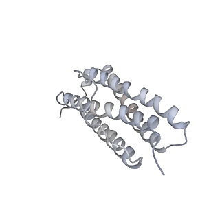 9915_6k4m_W_v1-0
Cryo-EM structure of Holo-bacterioferritin form-II from Streptomyces coelicolor