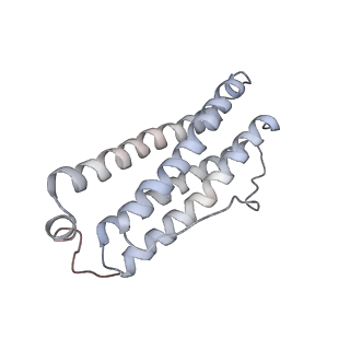 9915_6k4m_X_v1-1
Cryo-EM structure of Holo-bacterioferritin form-II from Streptomyces coelicolor