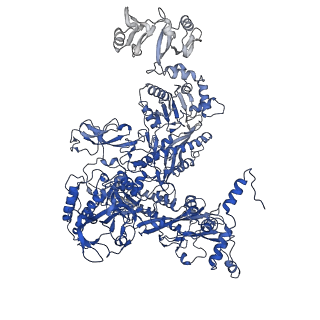 9916_6k4y_C_v1-4
CryoEM structure of sigma appropriation complex