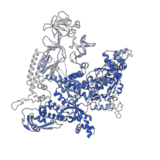 9916_6k4y_D_v1-4
CryoEM structure of sigma appropriation complex