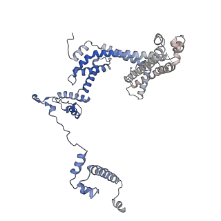 9916_6k4y_F_v1-4
CryoEM structure of sigma appropriation complex