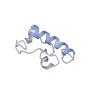 22669_7k50_W_v1-1
Pre-translocation non-frameshifting(CCA-A) complex (Structure I)
