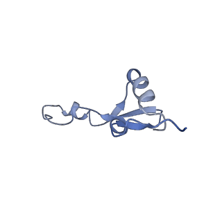 22672_7k53_E_v1-1
Pre-translocation +1-frameshifting(CCC-A) complex (Structure I-FS)
