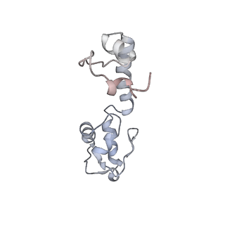22674_7k55_R_v1-1
Near post-translocated +1-frameshifting(CCC-A) complex with EF-G and GDPCP (Structure III-FS)