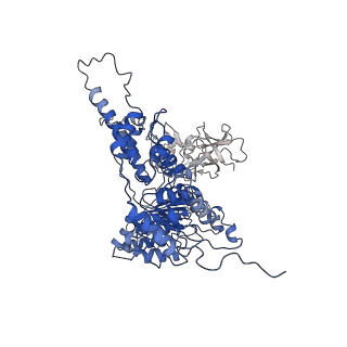 22675_7k56_A_v1-1
Structure of VCP dodecamer purified from H1299 cells