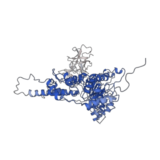 22675_7k56_B_v1-1
Structure of VCP dodecamer purified from H1299 cells